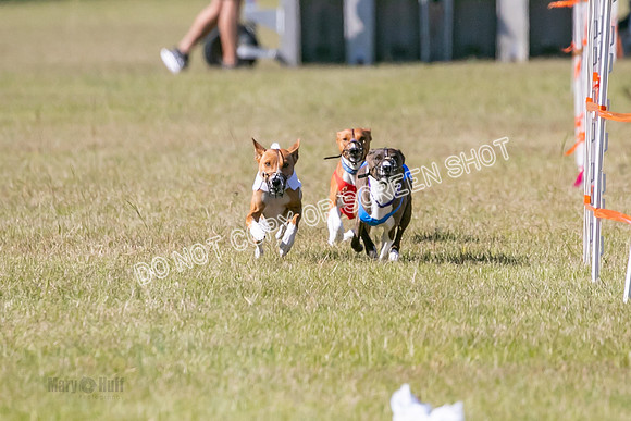 Group A, Prg 3, BA, Race 6-7980
