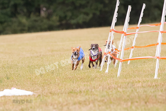 Group A, Prg 2, BA, Race 6-7336