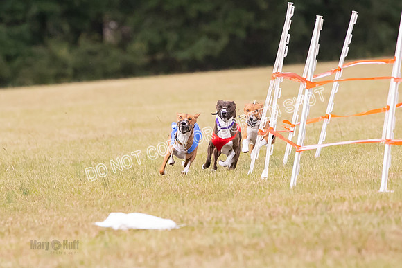 Group A, Prg 2, BA, Race 6-7337