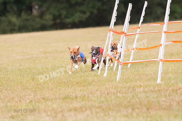 Group A, Prg 2, BA, Race 6-7335