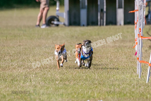 Group A, Prg 3, BA, Race 6-7977