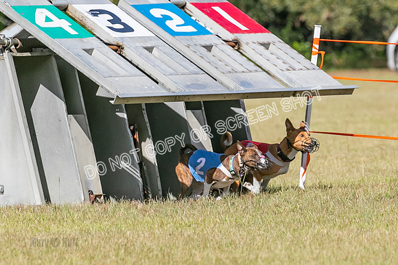Group A, Prg 3, BA, Race 1-7735