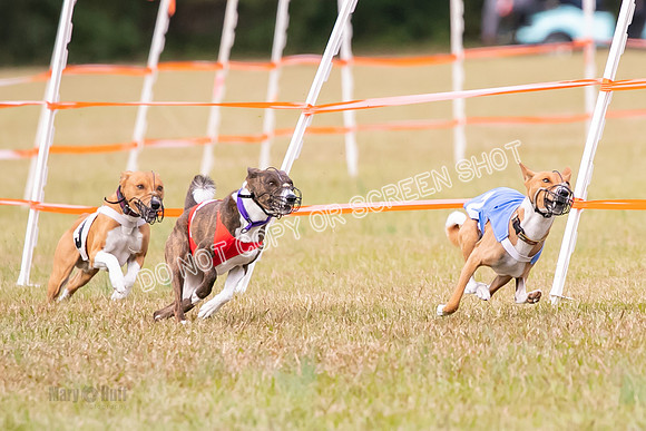 Group A, Prg 2, BA, Race 6-7352