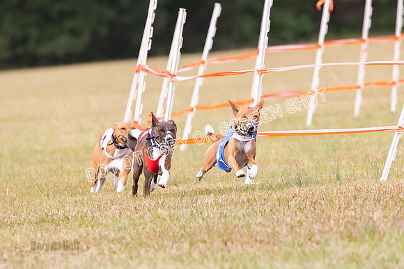 Group A, Prg 2, BA, Race 6-7346