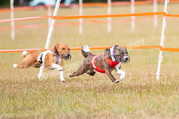 Group A, Prg 2, BA, Race 6-7357