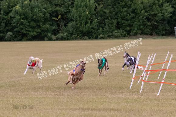 Group A, Prg 1, B, Race 4-6638