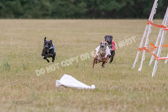 Group A, Prg 2, IG, Race 3-7209