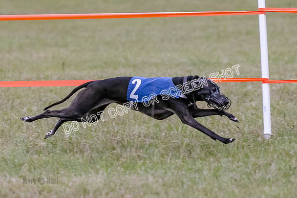 Group A, Prg 1, IG, Race 3-6619