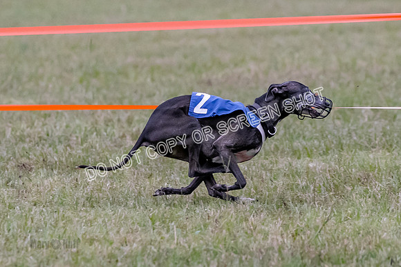 Group A, Prg 1, IG, Race 3-6624