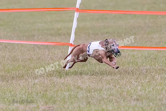 Group A, Prg 1, IG, Race 3-6608