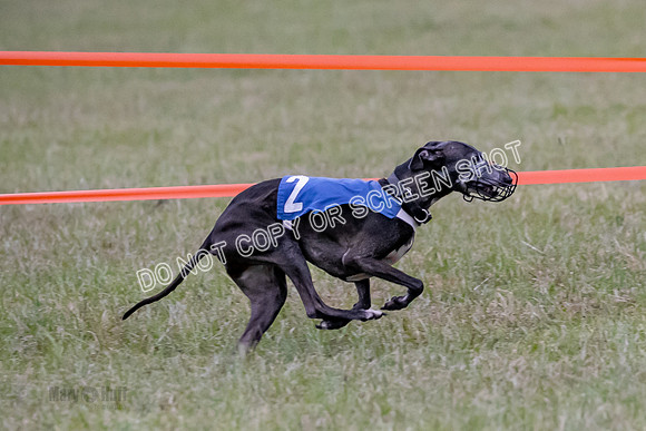 Group A, Prg 1, IG, Race 3-6621