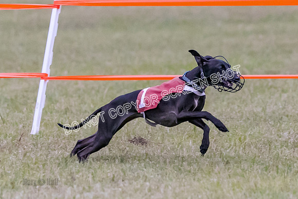 Group A, Prg 1, IG, Race 3-6613