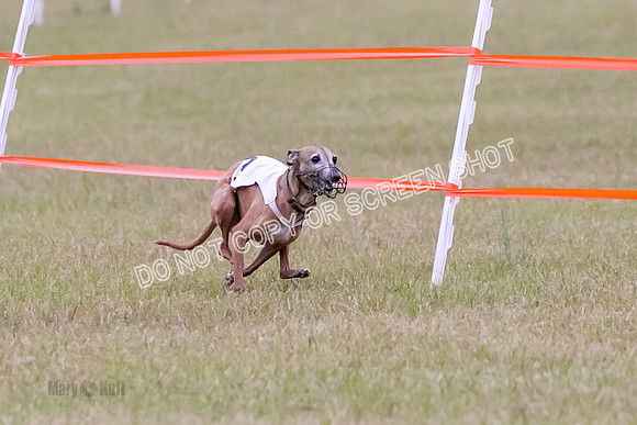 Group A, Prg 1, IG, Race 3-6606