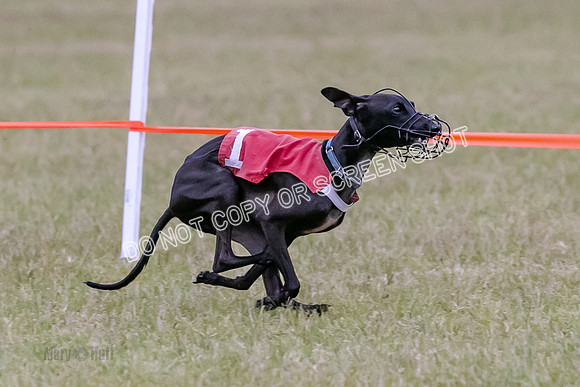 Group A, Prg 1, IG, Race 3-6616