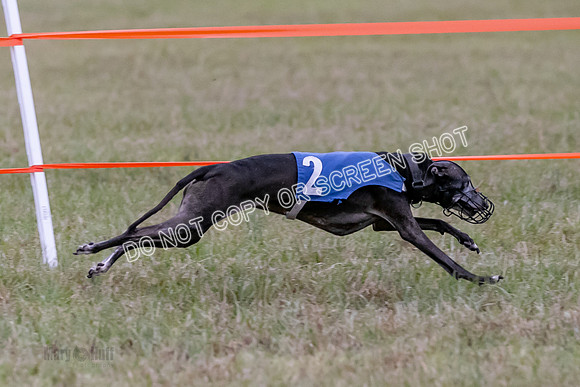 Group A, Prg 1, IG, Race 3-6629