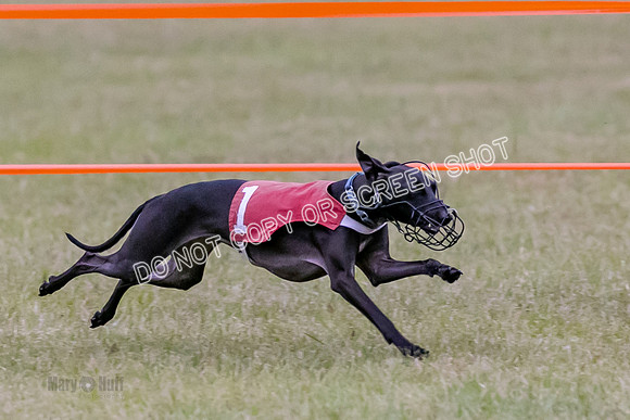 Group A, Prg 1, IG, Race 3-6614