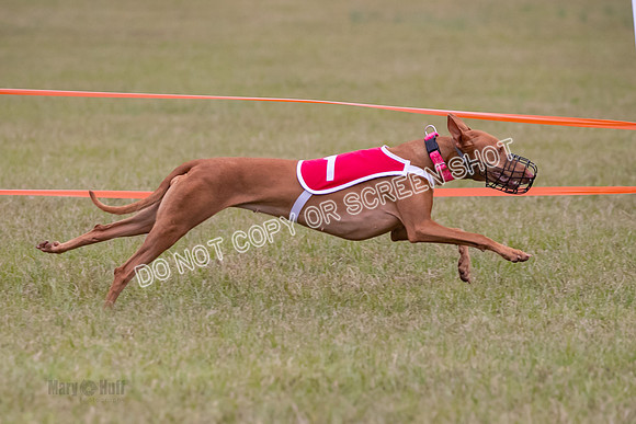 Group A, Prg 1, Ph, Race 7-6831