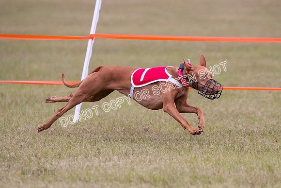 Group A, Prg 1, Ph, Race 7-6824