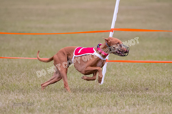 Group A, Prg 1, Ph, Race 7-6823