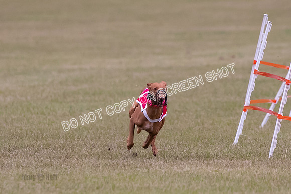 Group A, Prg 1, Ph, Race 7-6811