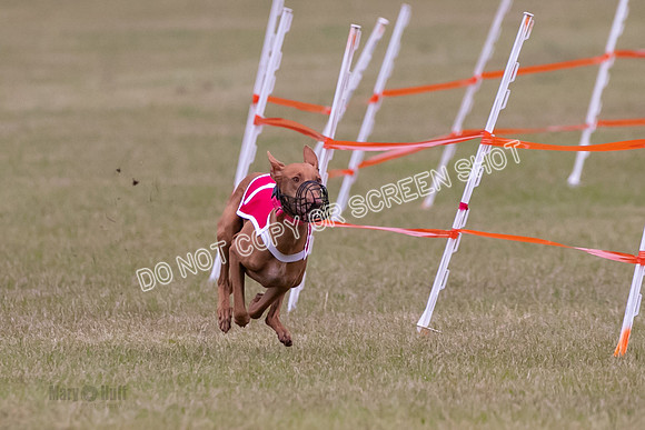 Group A, Prg 1, Ph, Race 7-6816