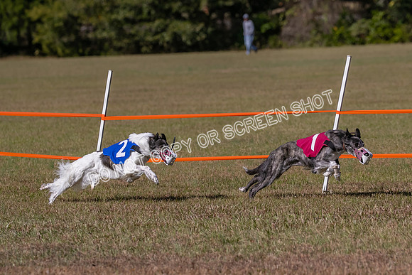 Group A, Prg 3, SW, Race 5-7949