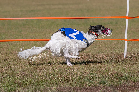 Group A, Prg 3, SW, Race 5-7961
