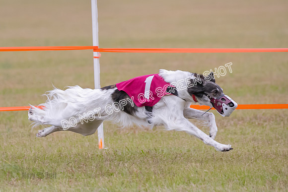 Group A, Prg 2, SW, Race 5-7322