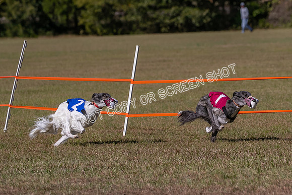 Group A, Prg 3, SW, Race 5-7948