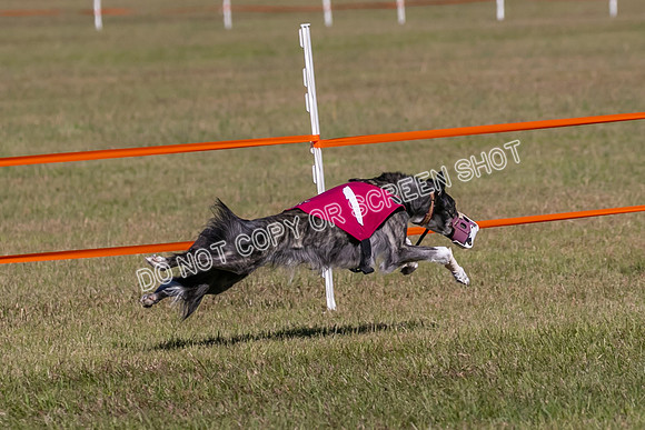 Group A, Prg 3, SW, Race 5-7973