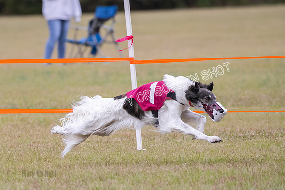 Group A, Prg 2, SW, Race 5-7318