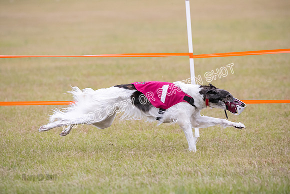 Group A, Prg 2, SW, Race 5-7330