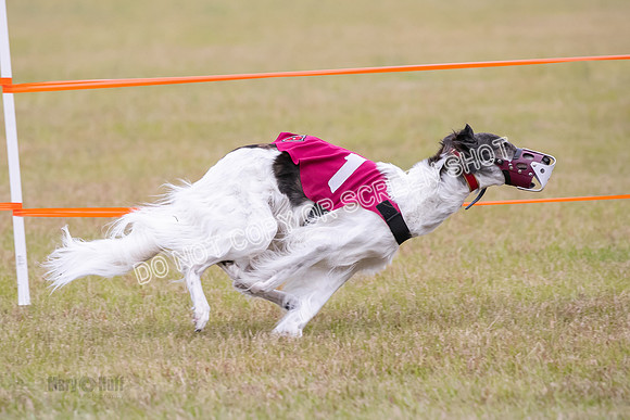 Group A, Prg 2, SW, Race 5-7331