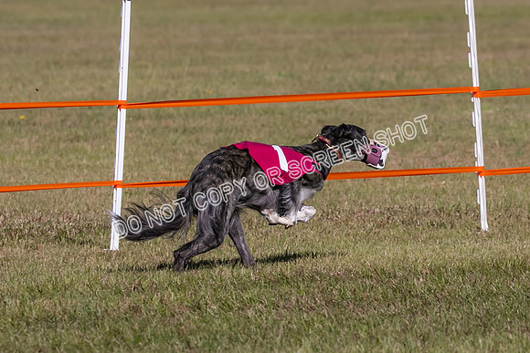 Group A, Prg 3, SW, Race 5-7972