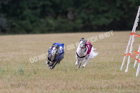 Group A, Prg 2, SW, Race 5-7290