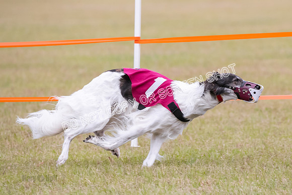 Group A, Prg 2, SW, Race 5-7327