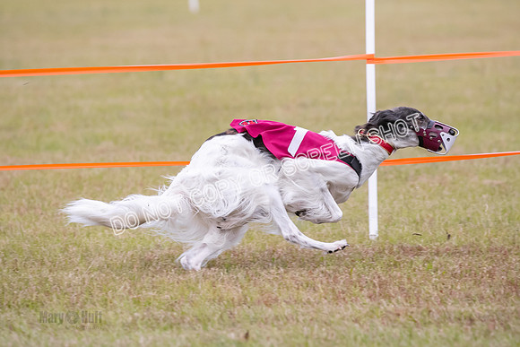 Group A, Prg 2, SW, Race 5-7332
