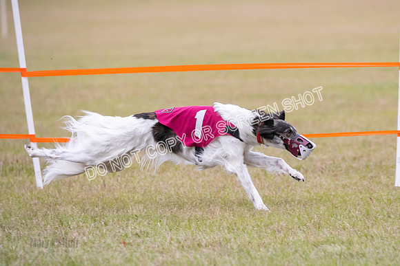 Group A, Prg 2, SW, Race 5-7326