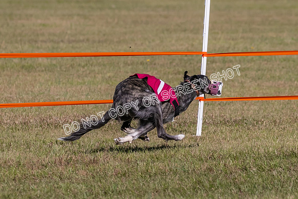 Group A, Prg 3, SW, Race 5-7971