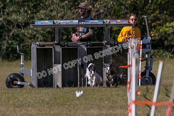 Group A, Prg 3, SW, Race 5-7914