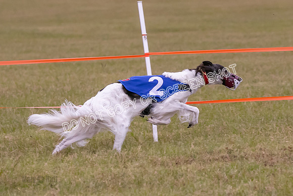 Group A, Prg 1, SW, Race 5-6719