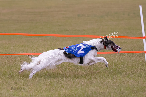 Group A, Prg 1, SW, Race 5-6715
