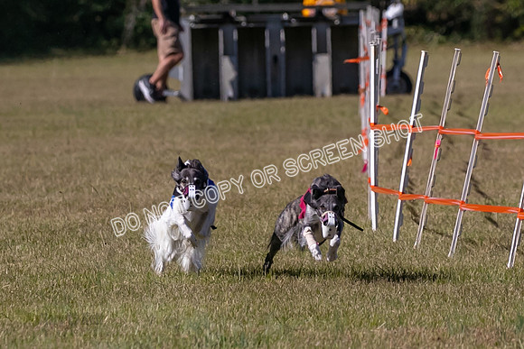 Group A, Prg 3, SW, Race 5-7937