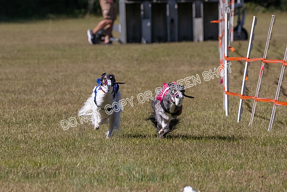 Group A, Prg 3, SW, Race 5-7936