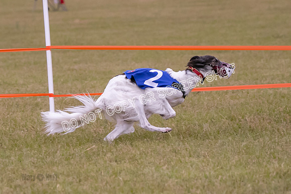 Group A, Prg 1, SW, Race 5-6714