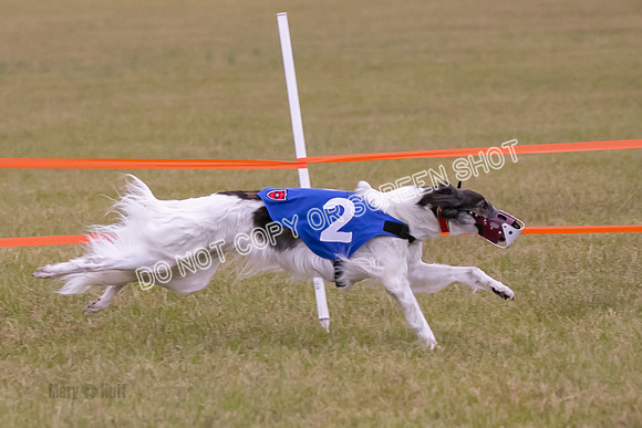Group A, Prg 1, SW, Race 5-6716