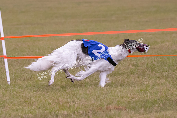 Group A, Prg 1, SW, Race 5-6717