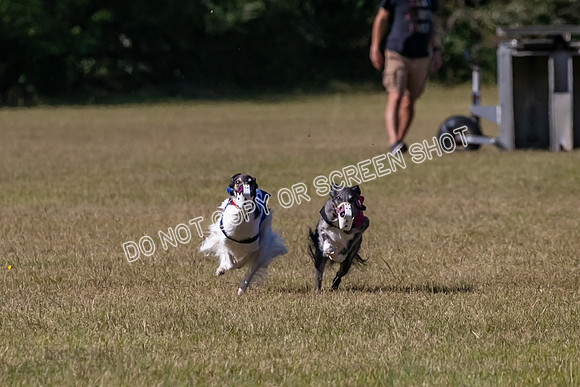 Group A, Prg 3, SW, Race 5-7925