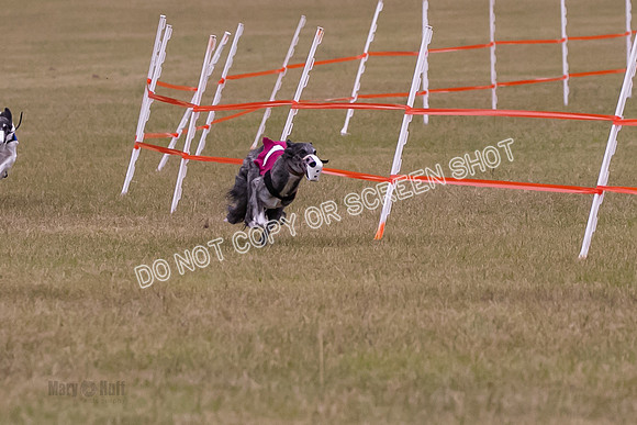 Group A, Prg 1, SW, Race 5-6698