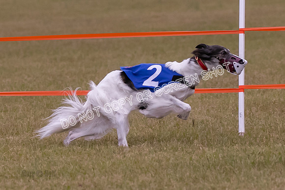 Group A, Prg 1, SW, Race 5-6710